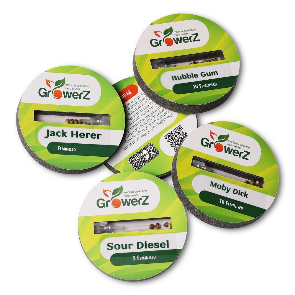 Семена марихуаны сорт LSD Fem. Семена марихуаны сорт LSD Fem.