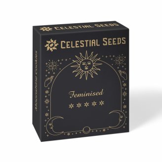 Семена марихуаны сорт RS11 Fem. Семена марихуаны сорт RS11 Fem.